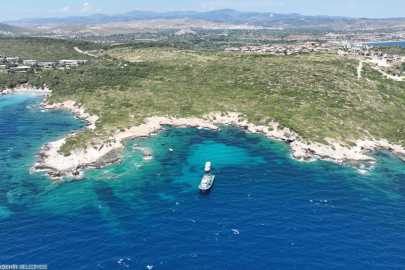 Midye kabukları deniz yaşamına nefes olacak