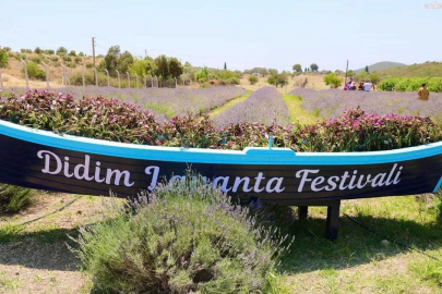 Didim'de Lavanta ve Aromaterapi Festivali
