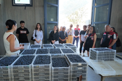 Berry Hill Çiftliğine Teknik Gezi